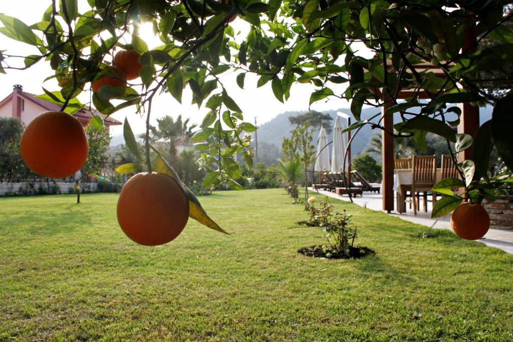 Gocek Arion Hotel Exteriér fotografie